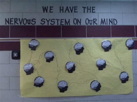 Pec Bulletin Boards For Physical Education