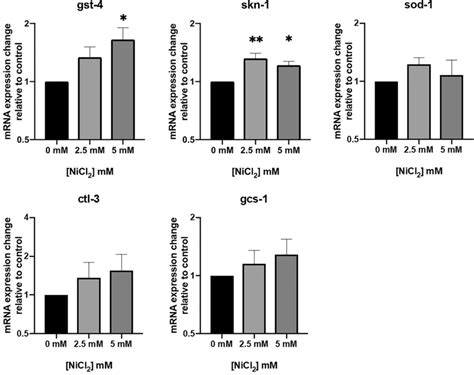 MRNA Expression Of Oxidative Stress Genes Determined By QRT PCR N2