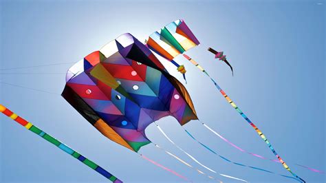 Kites at Makar Sankranti wallpaper - Photography wallpapers - #38139