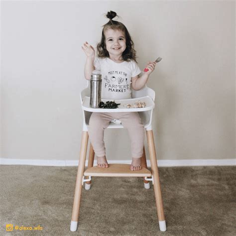 Wooden High Chair for Babies and Toddlers - Ashtonbee