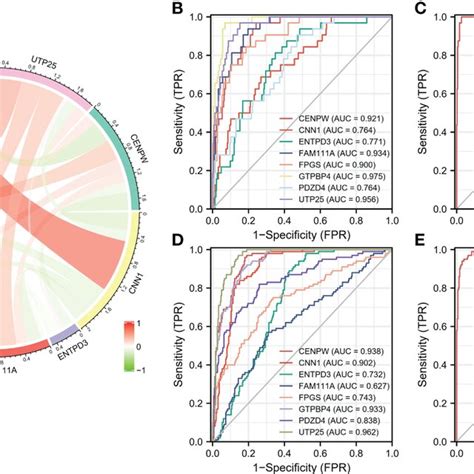 A Circle Chart Of Characteristic Gene Correlation Analysis B C