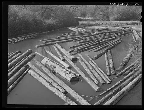 Long Bell Lumber Company Cowlitz County Washington Log Pond