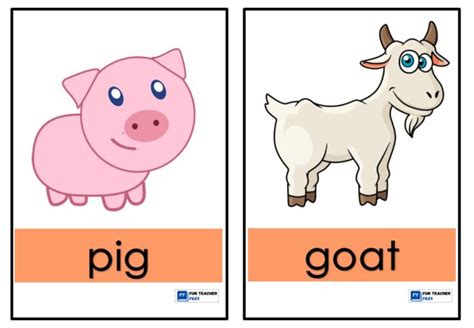 Farm Animals Flashcards Fun Teacher Files