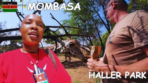 You Wont Believe This Is Mombasa Kenya 🇰🇪 Haller Park Mombasa