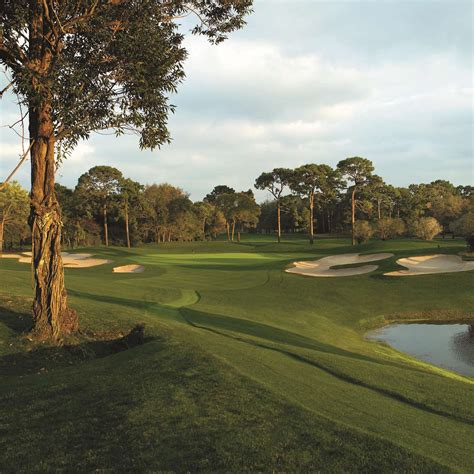 Innisbrook Resort Palm Harbor Fl See Discounts