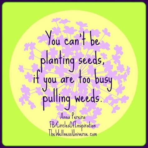 Quotes About Planting Seeds Cultivating Growth And Inspiration