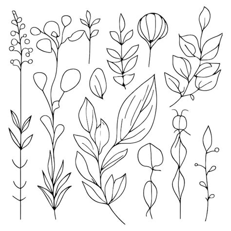 Premium Vector A Set Of Doodle Flowers And Leaves Botanical Illustration Botanical Line