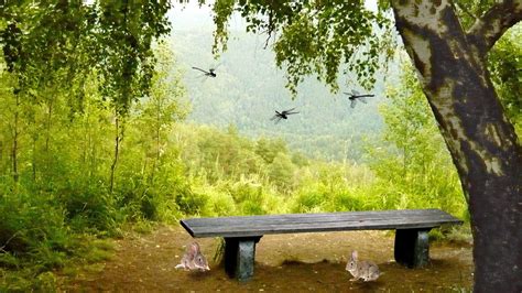Nature Backgrounds HD Images - Wallpaper Cave