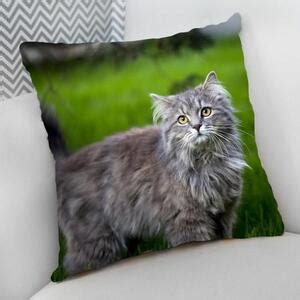 Almofada Decorativa Cheia C Zíper 40x40cm Maine Coon Leroy Merlin