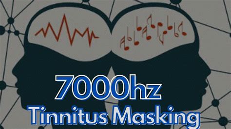 Hrs Hz Tinnitus Masker Panning R L L R White Noise Masker