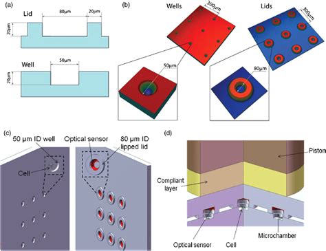 Microwell Array Design And Characterization A Design Of The Upper