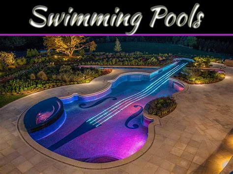 Pros And Cons To Different Types Of Swimming Pools My Decorative