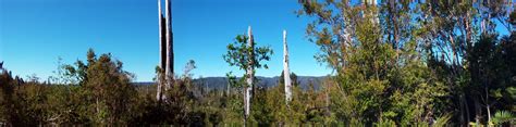 Chile Lake District Hiking Tour in the Chilean Andes | 10Adventures