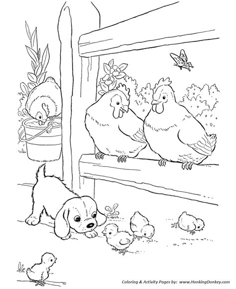 Farm Animal Coloring Pages | Printable Chickens Coloring Page Baby ...