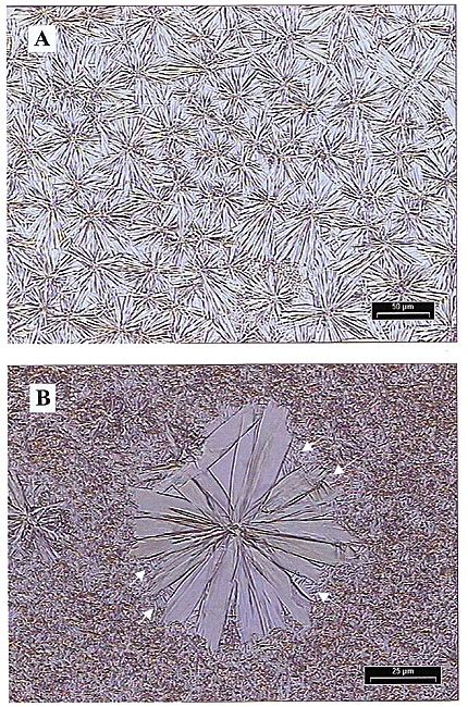 Optical Micrographs Of Self Organized Supramolecular Morphology Of 5b