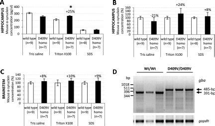 Expression Of Mutant Gba Alleles Promotes A Rise In Synuclein Levels