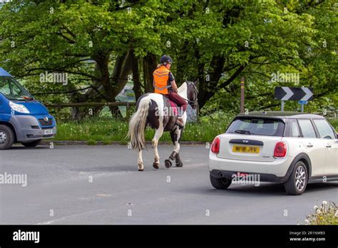 D Passer Un Cheval Et Un Cavalier Banque De Photographies Et Dimages