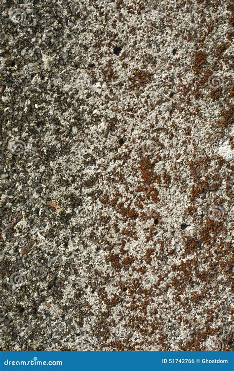 Mossy Concrete Wall Texture For Background Royalty Free Stock