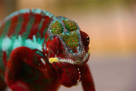 Best Photos 2 Share 8 Pictures Of The Beauty Of Madagascar