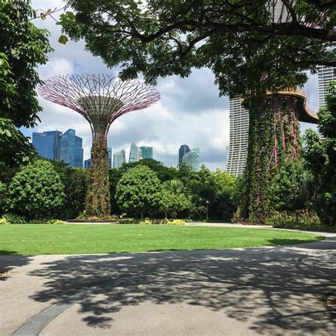 Singapore - "City In A Garden" - Out Of Office With Rebecca