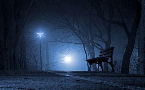 Dark Night Park Best Wallpaper 84061 - Baltana