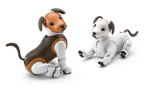 Vuelve Y Recargado Aibo El Perro Robot De Sony Neomundo