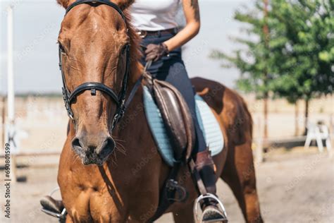 Young Jockey Girl On Her Horse In The Arena Of The Riding School