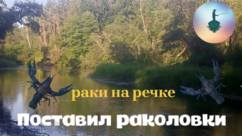 Раки на раколовки/раки на речке - YouTube