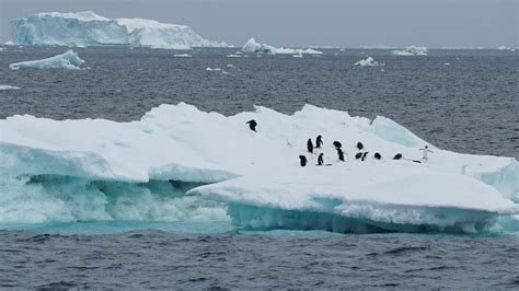 La Fonte De La Banquise Antarctique Atteint Un Record En 2022