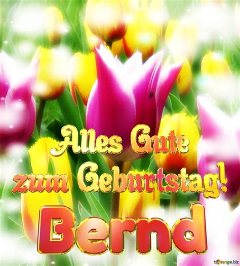 Bernd Alles Gute Zum Geburtstag Kostenloses Bild 3093