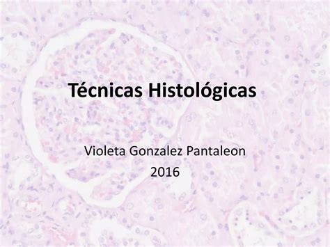 Tecnicas Histologicas Por Dra Violeta Gonzalez Ppt