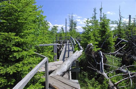 Der Nationalpark Ist In Der Region Angekommen Ortenaukreis Badische