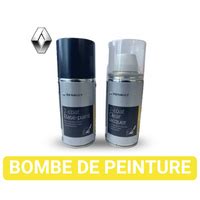 Stylo Retouche Peinture Renault Certifi Constructeur Renault