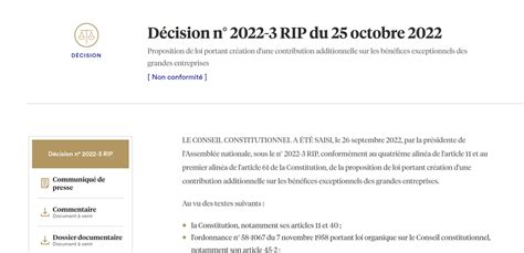 Conseil constit on Twitter Décision n 2022 3 RIP du 25 octobre 2022