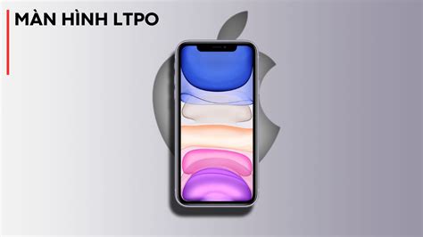 Understanding LTPO Displays: A Comparison with OLED Screens