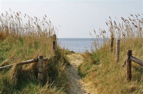 Gratis Afbeeldingen Strand Zee Kust Moeras Prairie Gewas