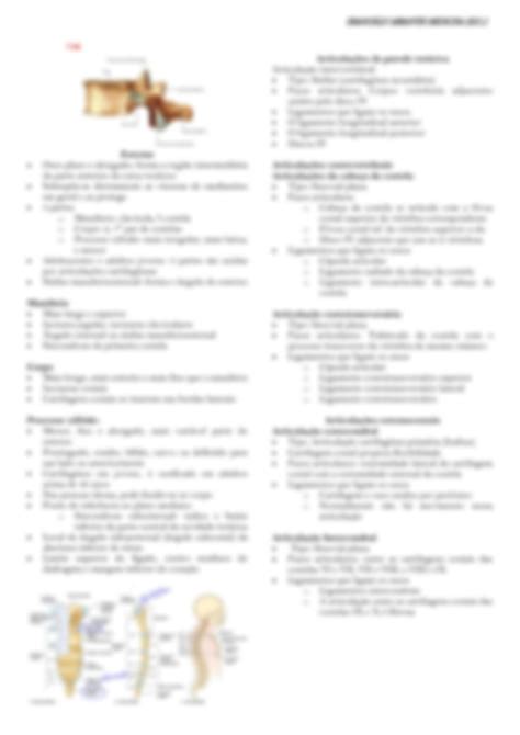 SOLUTION Anatomia Topogr Fica Parede Tor Cica Studypool