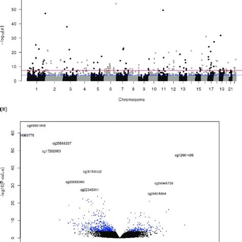 Manhattan Plot A And Volcano Plot B Of Cpg Sites Differentially