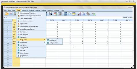 Combining Datasets In SPSS YouTube