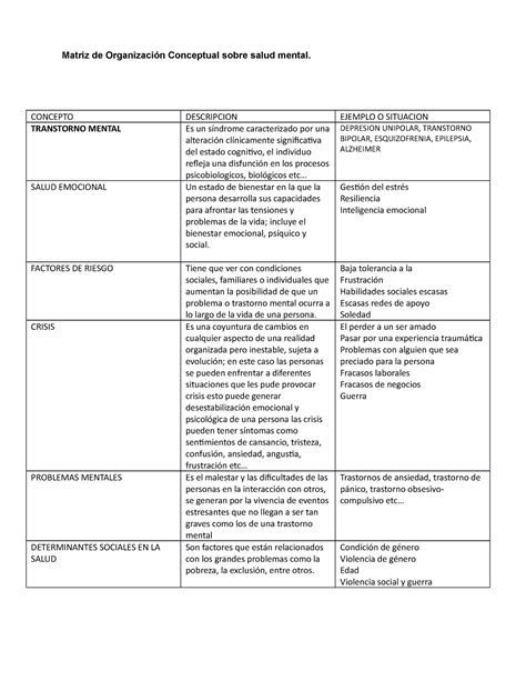 Salud Mental Matriz De Organizaci N Conceptual Sobre Salud Mental