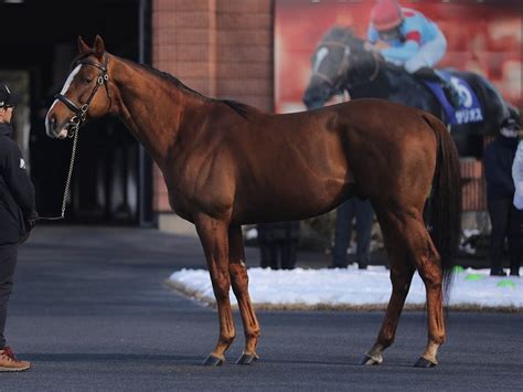 天栄期待のスワーヴリチャード初年度産駒 兄gⅠ馬 ぐりぐり君の個人馬主ブログ