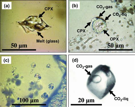 Photomicrographs Showing Different Types Of Melt Crystal And Fluid Download Scientific Diagram