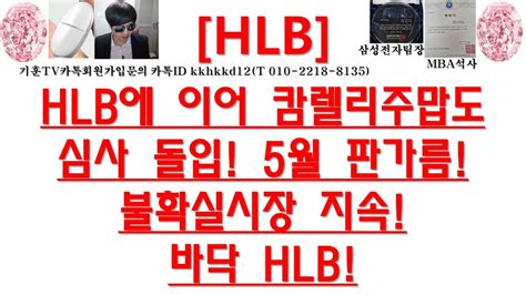 주식투자 Hlb공매주도시장기술주 집중 공매바이오 집중매수hlb 단발성 지속상승 Youtube