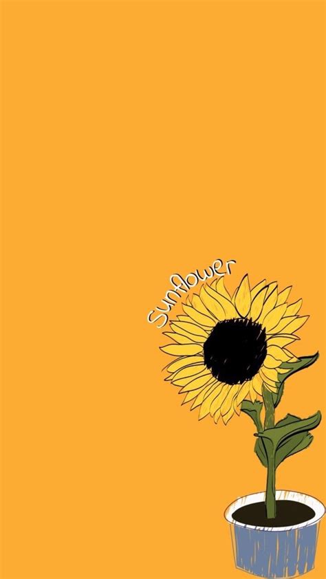 🔥 Download Aesthetic Yellow Sunflower Background HD by @jonathans18 ...