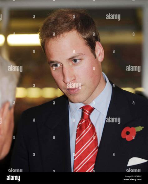 Prince William attends Wales v NZ rugby match. Prince William before ...