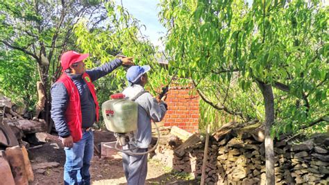 Dra Ayacucho Distribuy Litros De Cebo T Xico A Productores