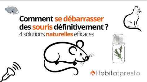 D Barrassez Votre Maison Des Bestioles Sans Pesticides Quiterre