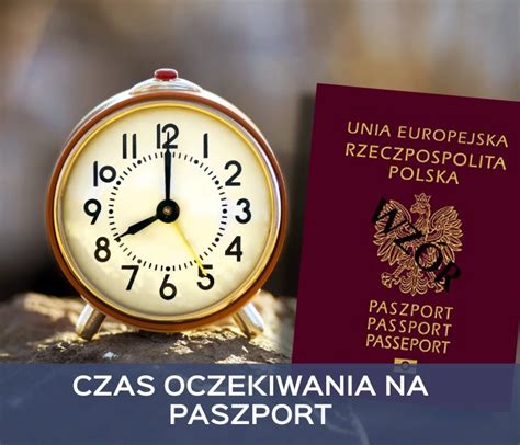 Czym jest paszport dla psa i jak go wyrobić Potrzebne informacje