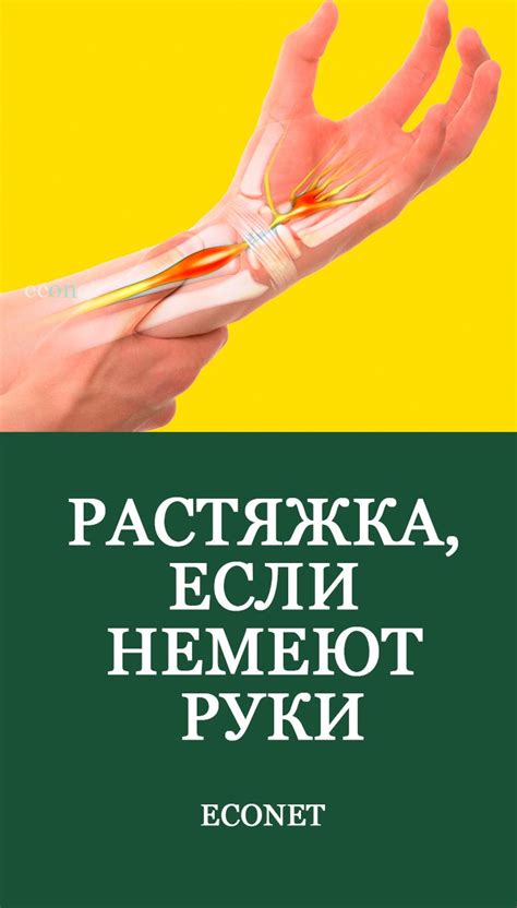 Растяжка, если немеют руки | Мышцы рук, Растяжка, Растяжки