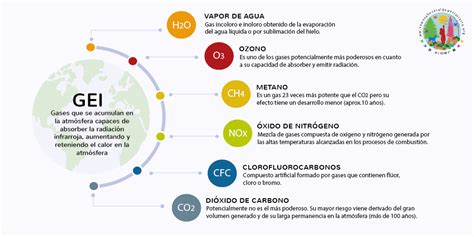 Te Contamos Todo Lo Que Debes Saber Sobre La Huella De Carbono